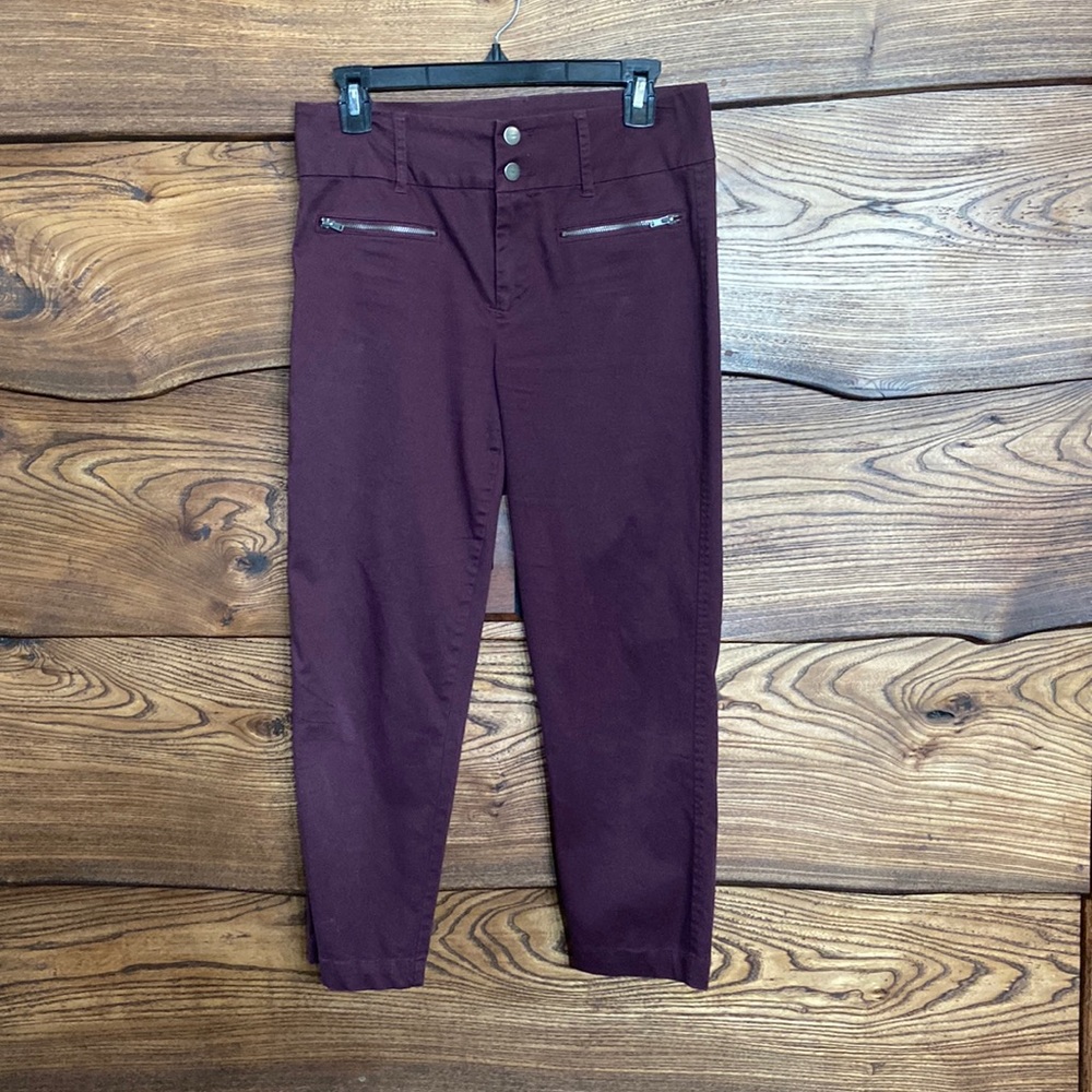 Tinsel size 28 crop pants.  Very comfy has stretch to them.  Only wore once.